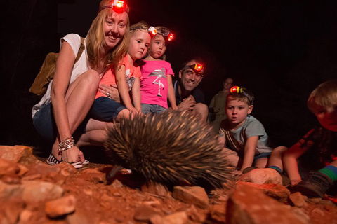 Alice Springs Desert Park Nocturnal Tour - Melbourne Tourism 5