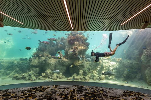 Whitehaven Beach And Daydream Island Cruise - Melbourne Tourism 4