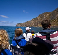 Seal Island Boat Tour from Victor Harbor - Melbourne Tourism