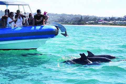 Southern Ocean Adventure From Victor Harbor - Melbourne Tourism 2