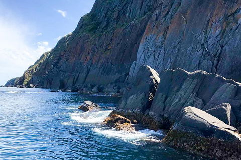 Southern Ocean Adventure From Victor Harbor - Melbourne Tourism 3