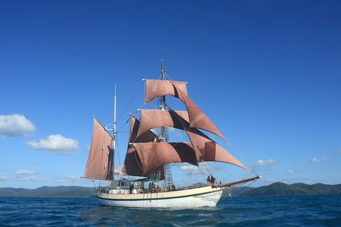 Sydney Harbour Tall Ship Whale & Sail - Whale Watching Cruise - Melbourne Tourism 1