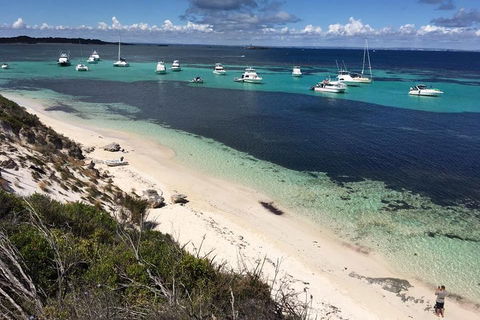 Experience Rottnest With Ferry & Bike Hire From Perth Or Fremantle - Melbourne Tourism 0