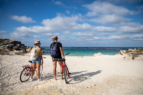Experience Rottnest With Ferry & Bike Hire From Perth Or Fremantle - Melbourne Tourism 5
