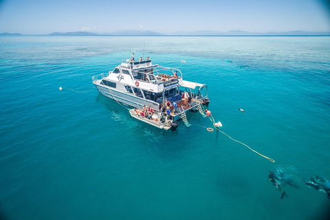 Ocean Freedom Great Barrier Reef Personal Luxury Snorkel & Dive Cruise, Cairns - Melbourne Tourism 0