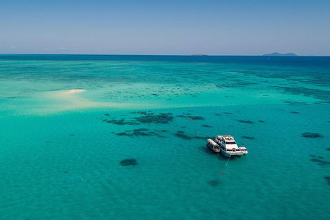 Ocean Freedom Great Barrier Reef Personal Luxury Snorkel & Dive Cruise, Cairns - Melbourne Tourism 2