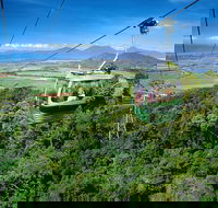 Best of Kuranda Including Skyrail Kuranda Scenic Railway and Rainforestation - Melbourne Tourism