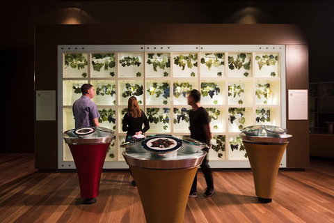 Australian Wine Discovery Tour With Tastings - Melbourne Tourism 4