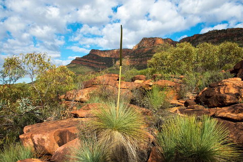 6-Day Eyre Peninsula & Flinders Ranges Adventure Tour - Melbourne Tourism 1