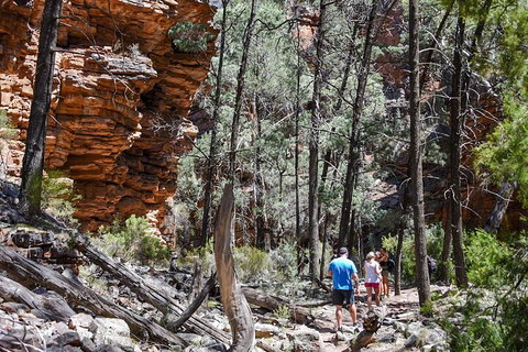 6-Day Eyre Peninsula & Flinders Ranges Adventure Tour - Melbourne Tourism 5
