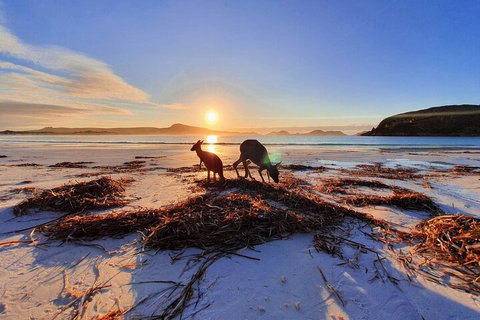 10-Day Perth To Adelaide Adventure Tour - Melbourne Tourism 1