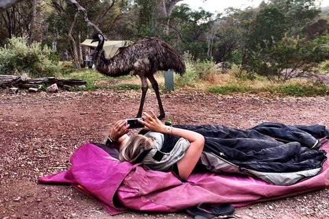 6 Day Esperance & Margaret River Adventure Tour - Melbourne Tourism 5
