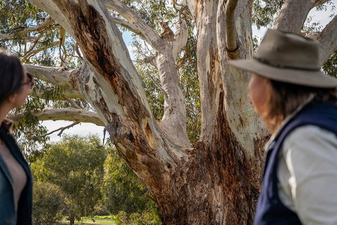 NEW TOUR - Kangaroo Island Road To Recovery Tour (1 Day/1 Night) - Melbourne Tourism 0