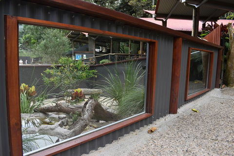 Kuranda Koala Gardens And Birdworld Admission Tickets - Melbourne Tourism 4