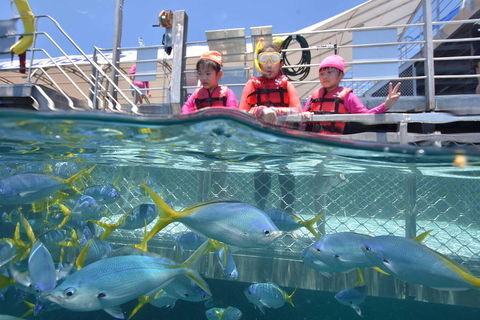 Outer Reef Pontoon Experience From Cairns - Melbourne Tourism 0