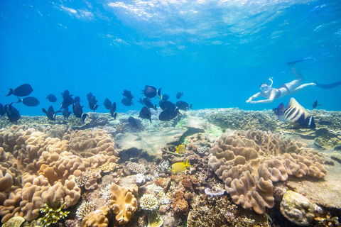 Outer Reef Pontoon Experience From Cairns - Melbourne Tourism 4