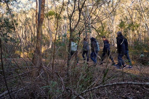 Wild Australian Wildlife 4WD Tour From Sydney - Melbourne Tourism 0