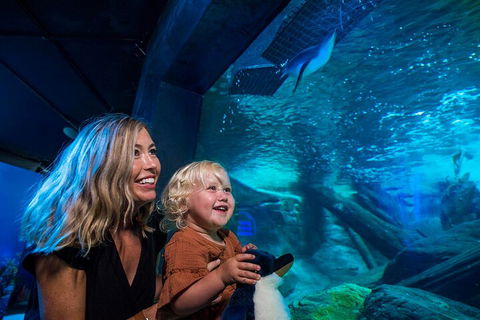 SEA LIFE Sunshine Coast Aquarium Entrance Ticket - Melbourne Tourism 0