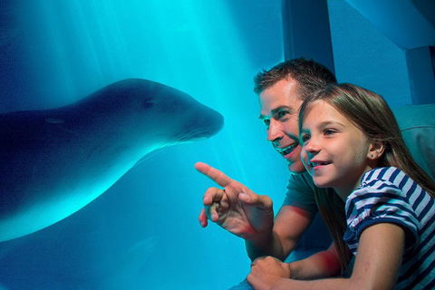 SEA LIFE Sunshine Coast Aquarium Entrance Ticket - Melbourne Tourism 2