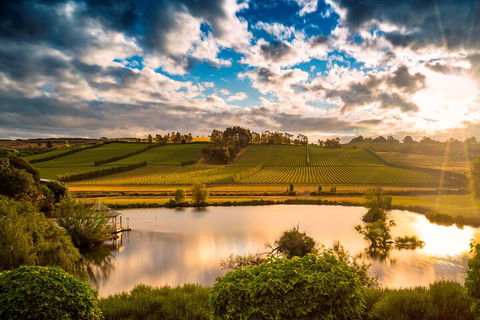 Josef Chromy Wines Winery Tour Including Tasting And Lunch - Melbourne Tourism 3