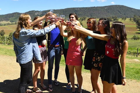 Hunter Valley Wine Tour From Sydney Incl Lunch, Cheese, Chocolate And Distillery - Melbourne Tourism 3