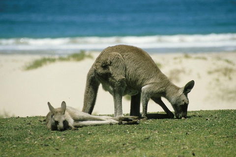 Great Ocean Road Highlights Tour - 2 Days, 1 Night - Melbourne Tourism 2